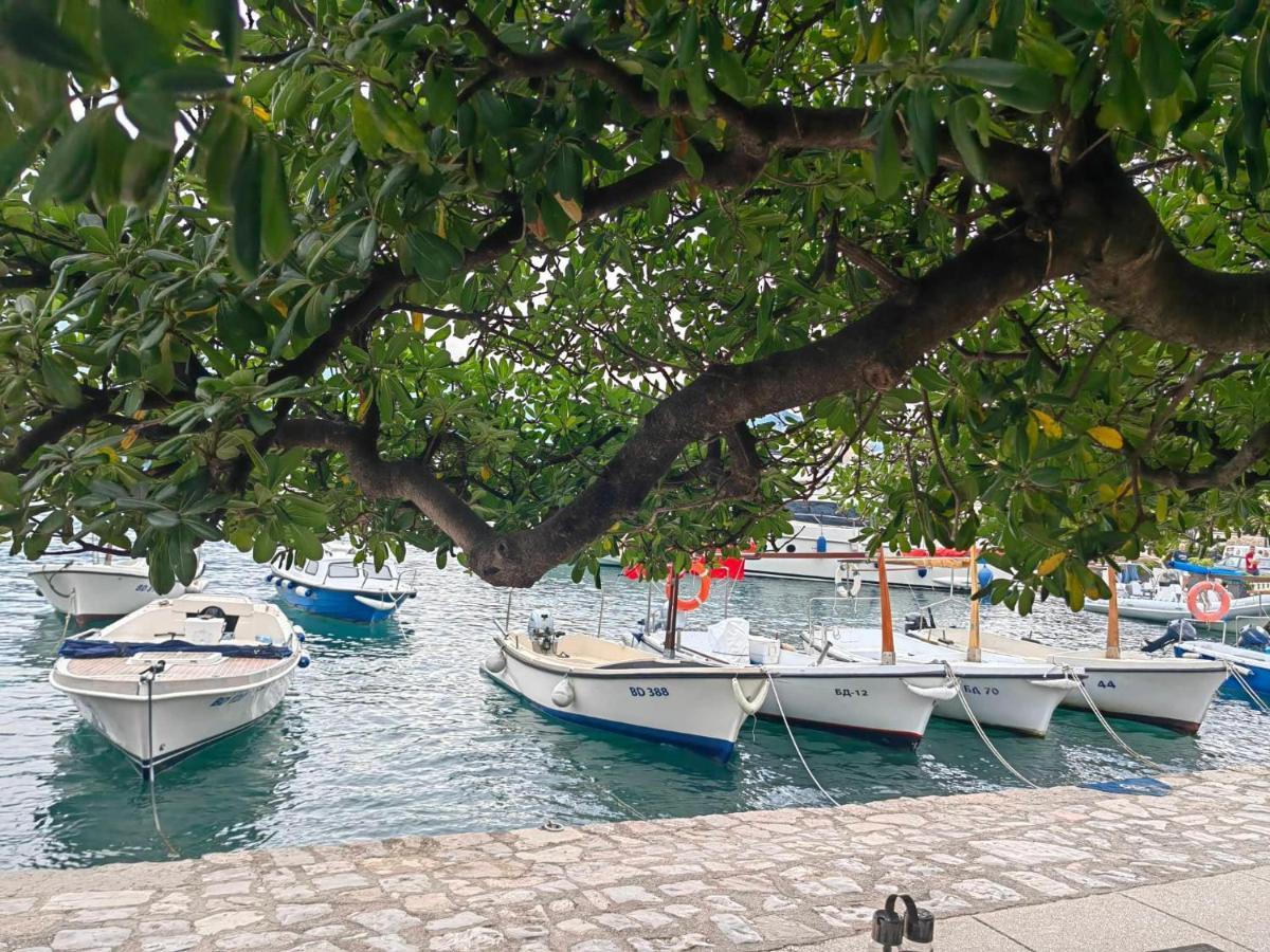 Daire Danka Old Town Budva